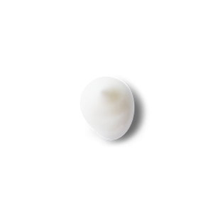 Portland Rose Full Spectrum CBD Lotion - Image 5